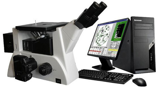 Meizs MS600高级金相显微镜