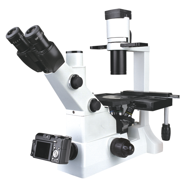 Meizs MS900W倒置生物显微镜