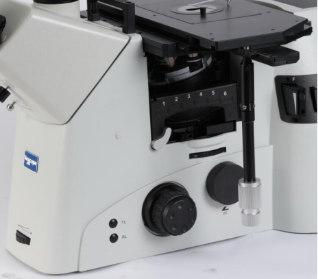 显微镜染色标本与不染色标本的观察方法和注意事项